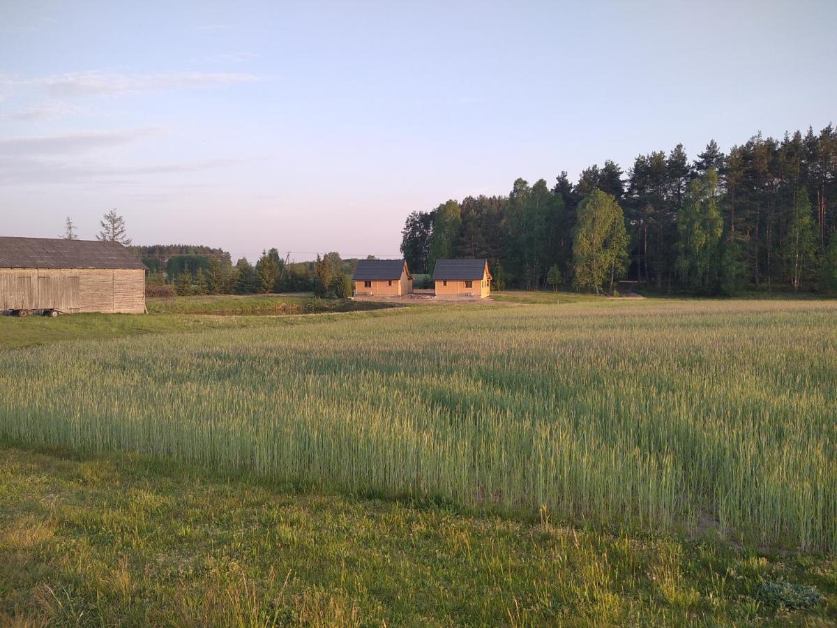 Wczasy Na Kaszubach Villa Gorki  Eksteriør bilde