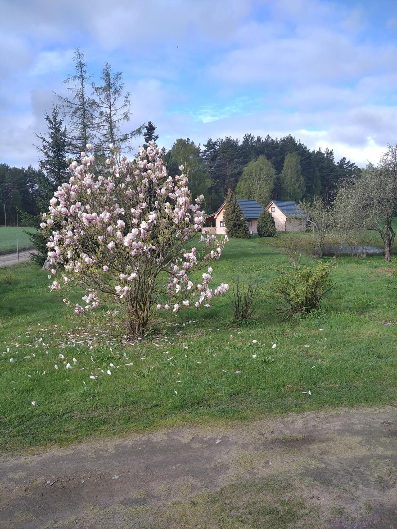 Wczasy Na Kaszubach Villa Gorki  Eksteriør bilde