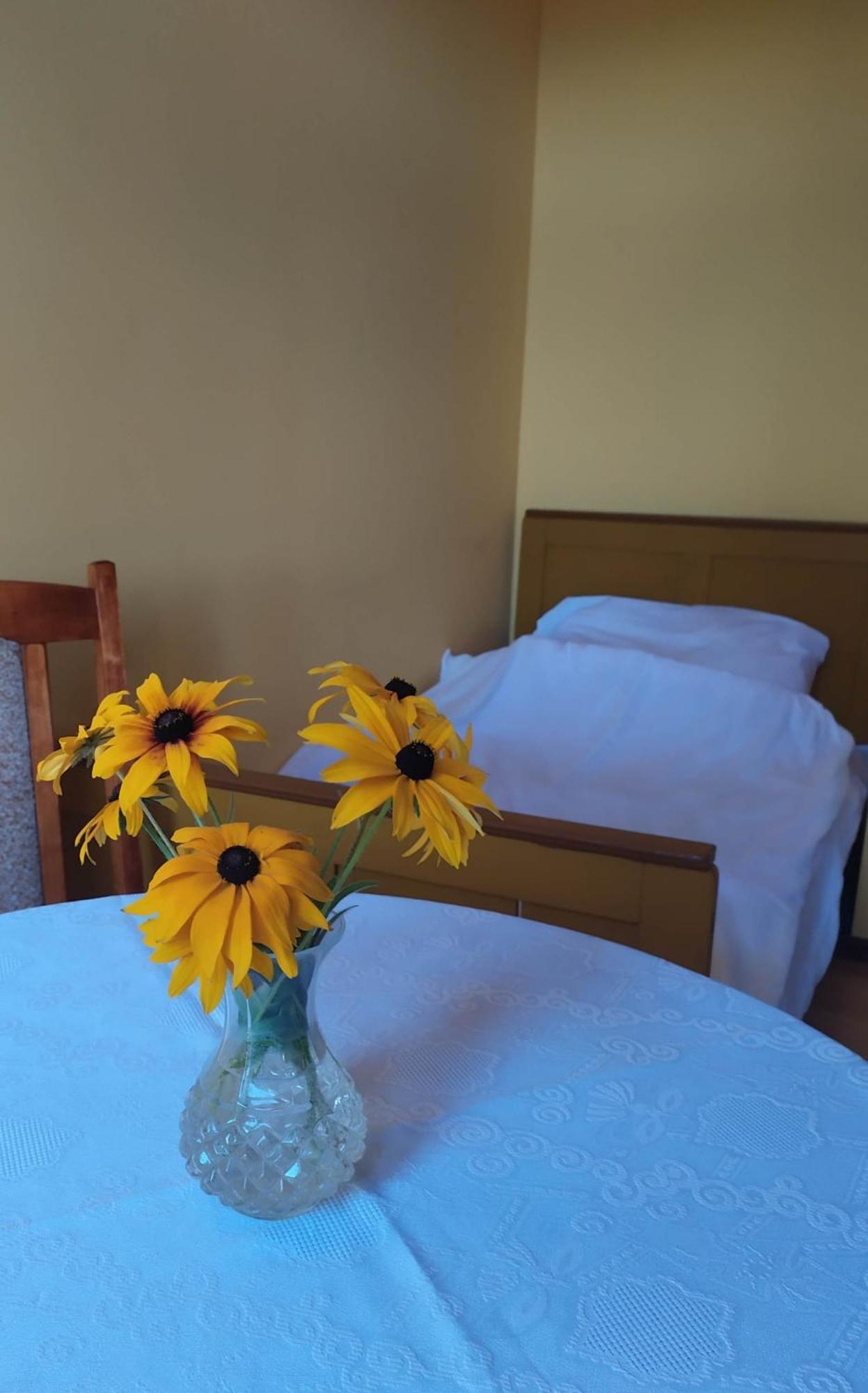 Wczasy Na Kaszubach Villa Gorki  Rom bilde